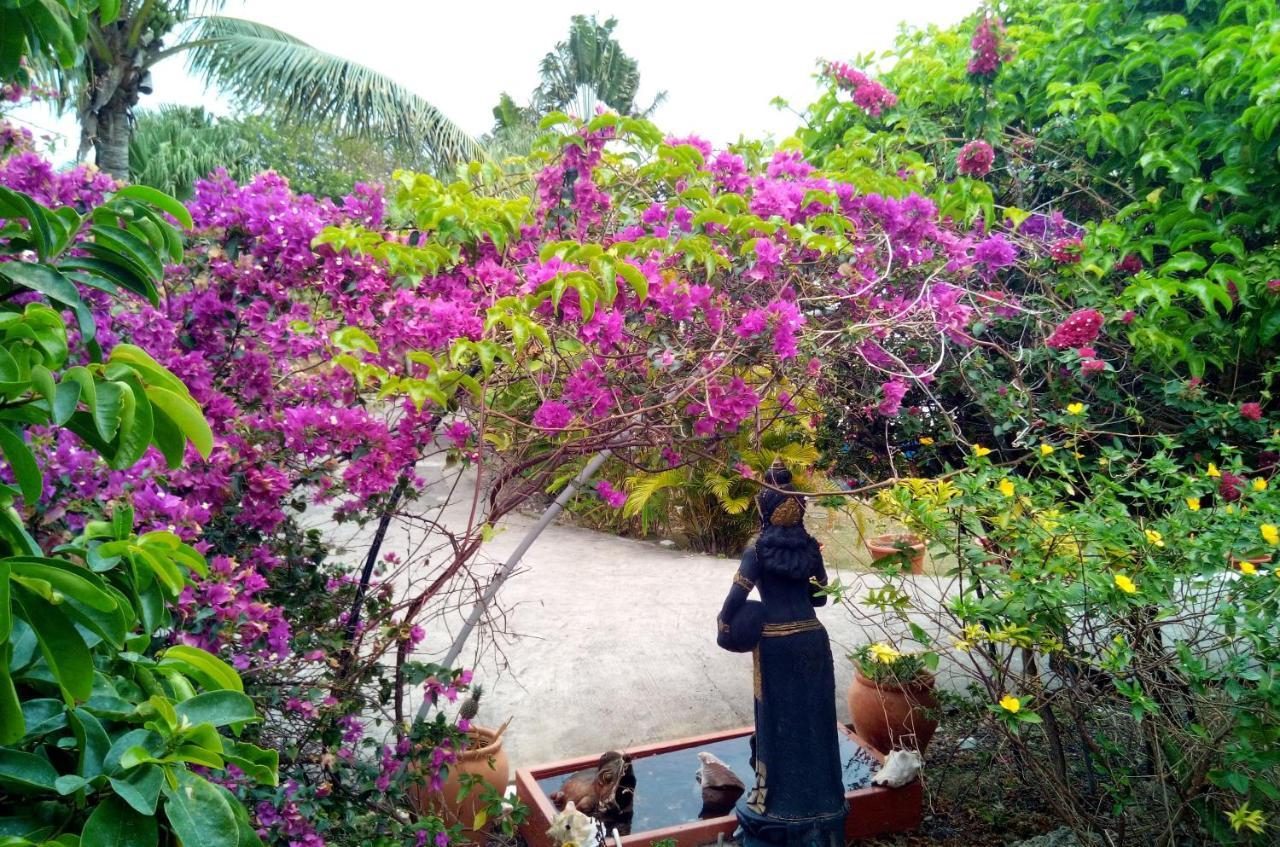 לה מול Le Moulin De La Baie Piscine Vue Mer מראה חיצוני תמונה